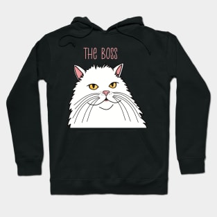 The white cat is the Boss . White longhaired cat queen. Hoodie